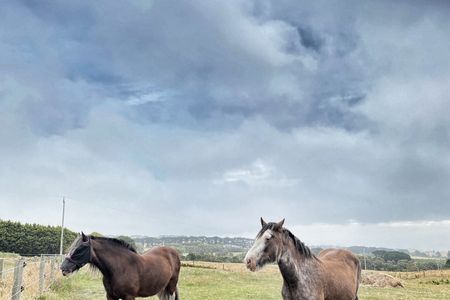 nc-imgs