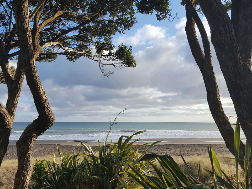 nc-imgs