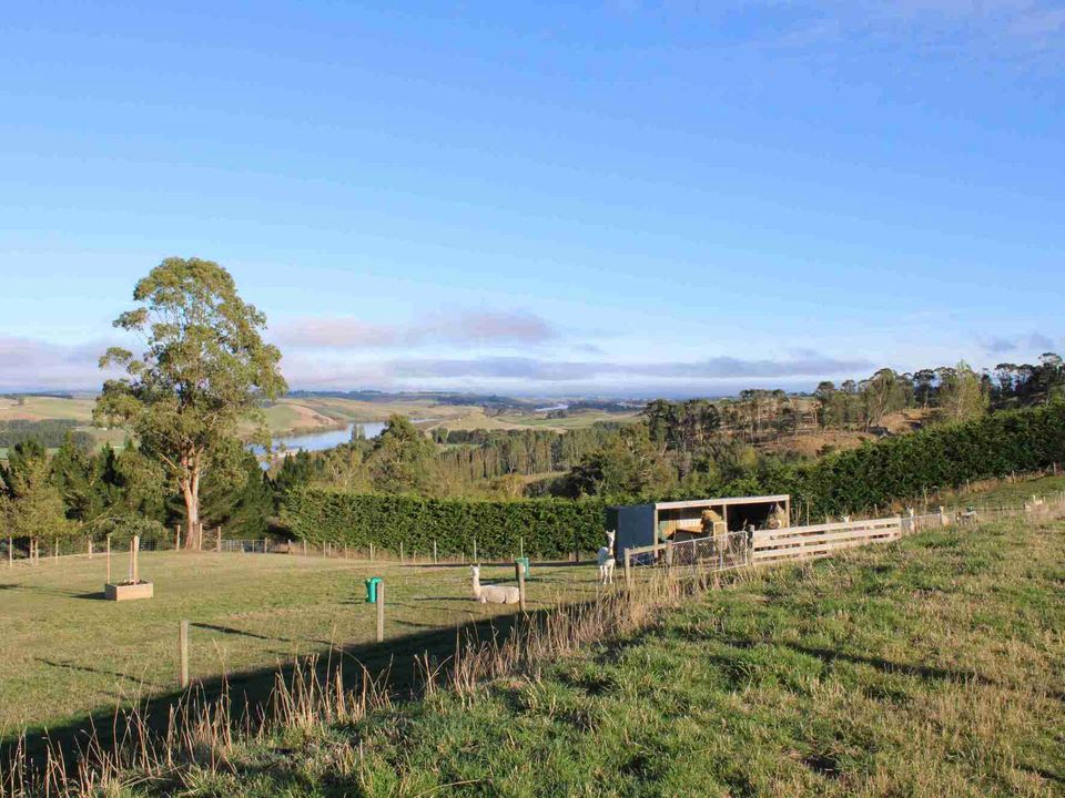 nc-imgs