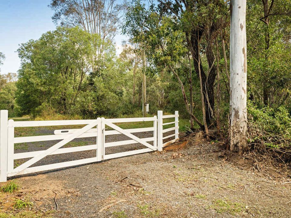 nc-imgs