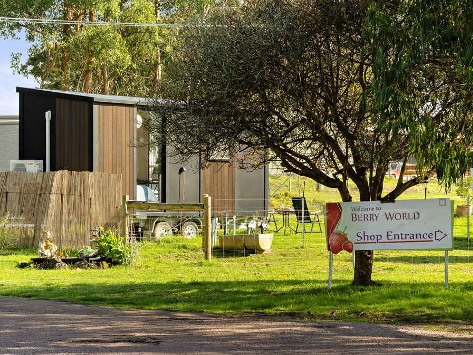 nc-imgs