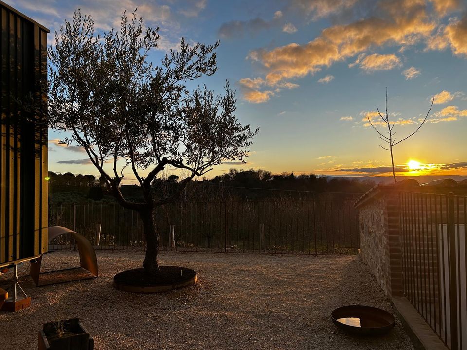 nc-imgs