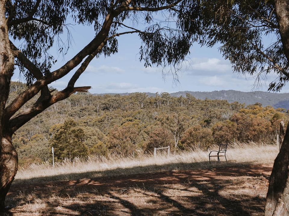 nc-imgs