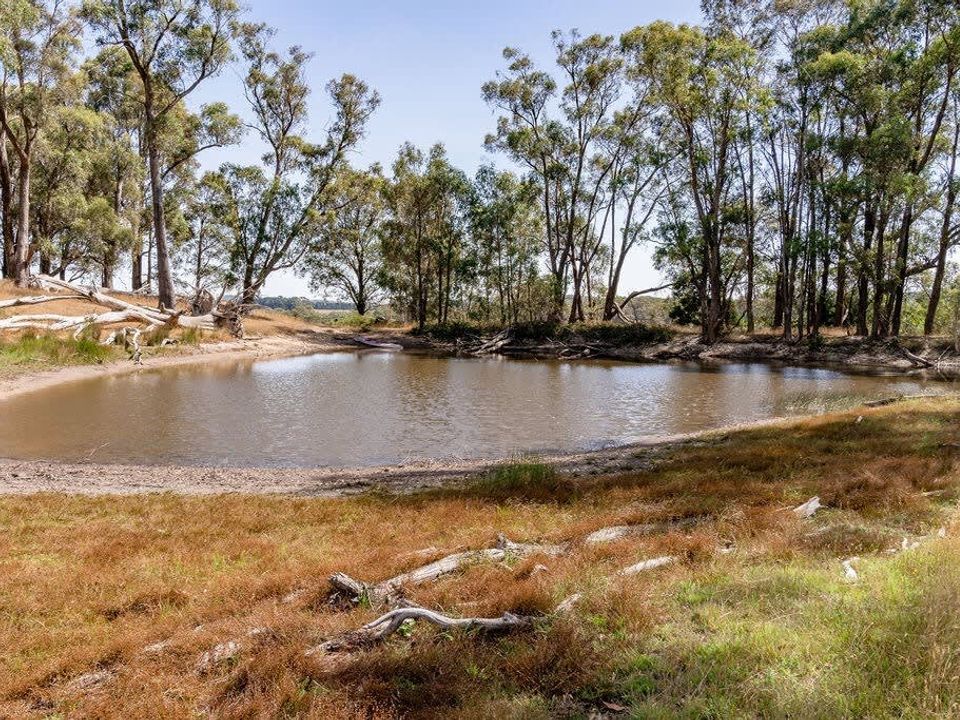 nc-imgs
