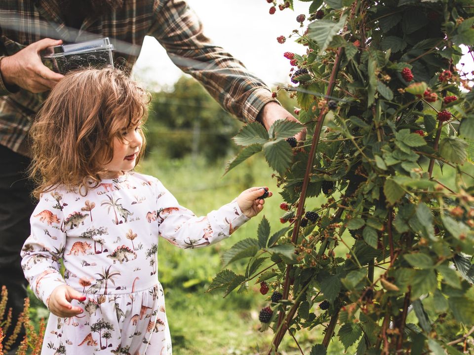 nc-imgs