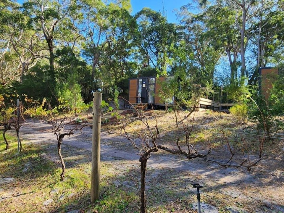nc-imgs