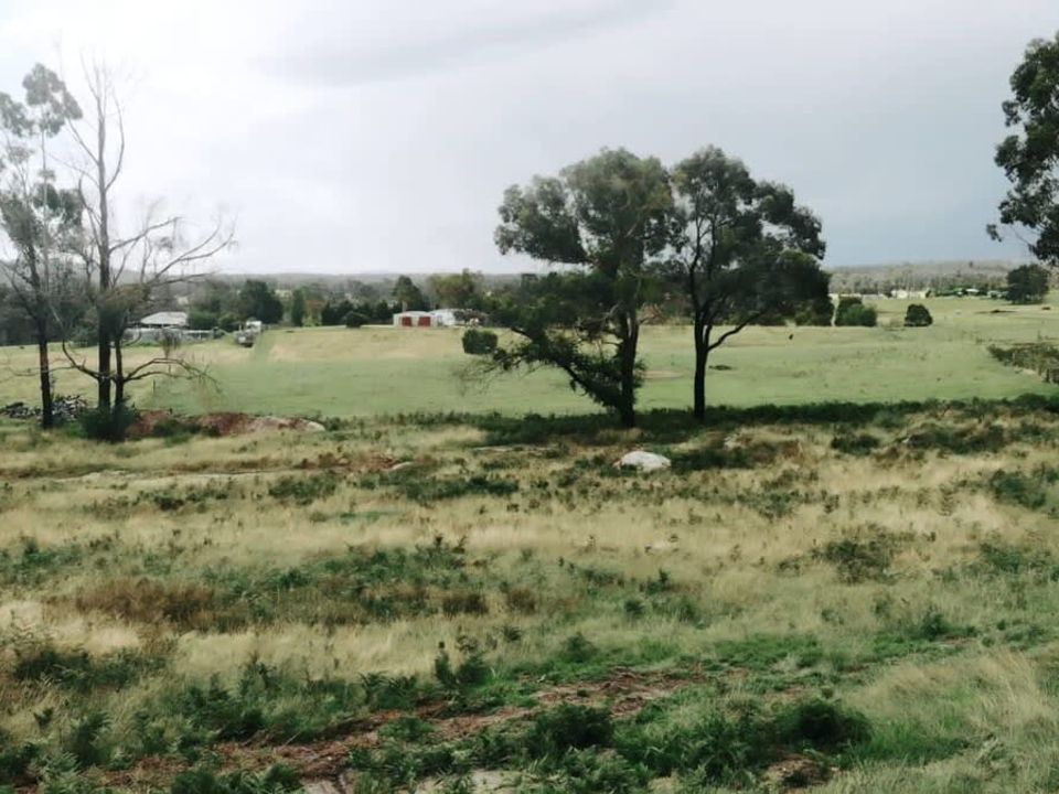 nc-imgs