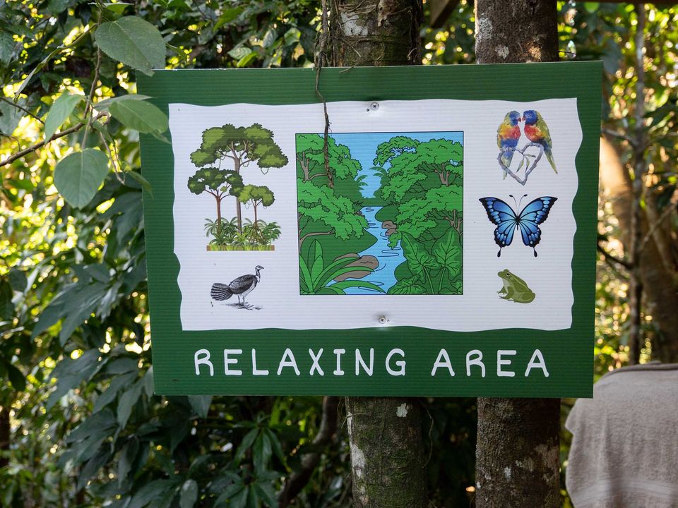 nc-imgs
