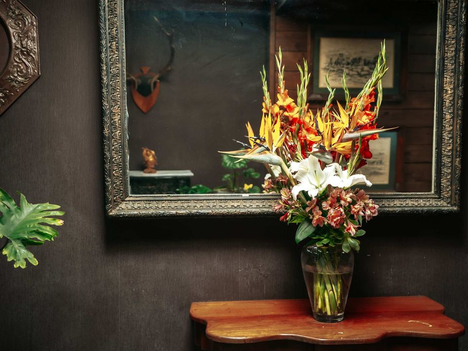nc-imgs