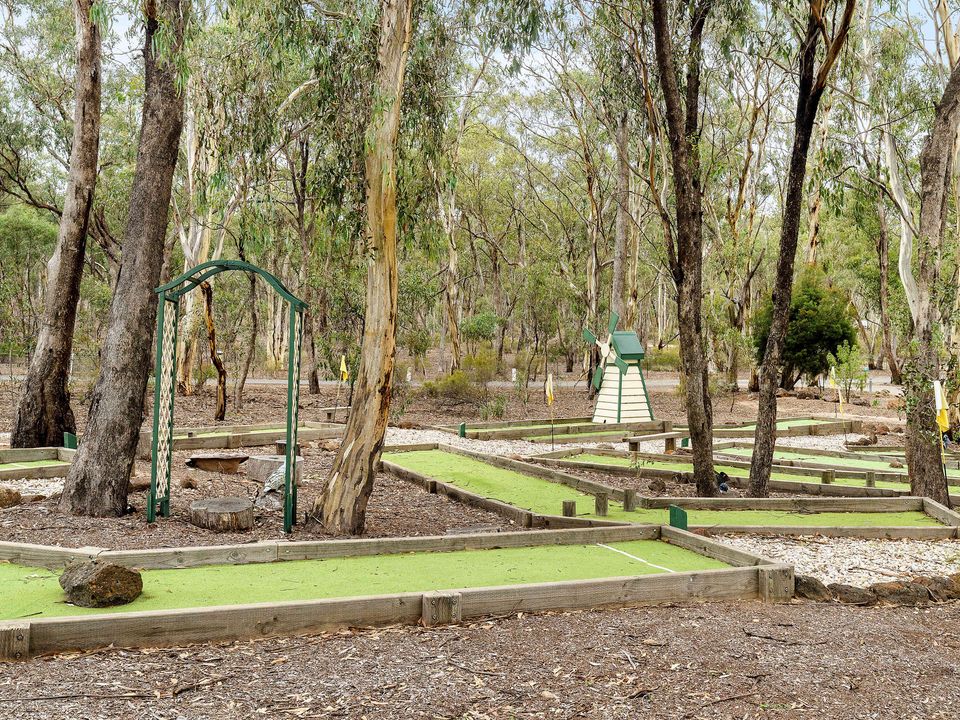 nc-imgs