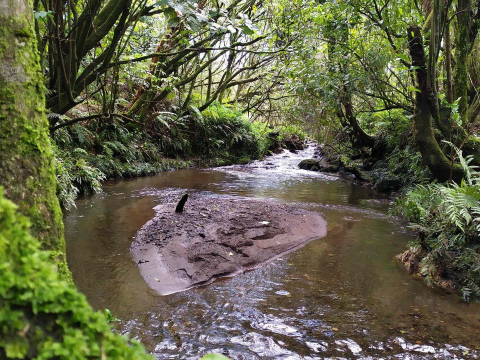 nc-imgs