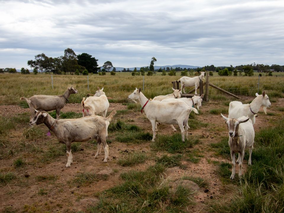 Story image 12