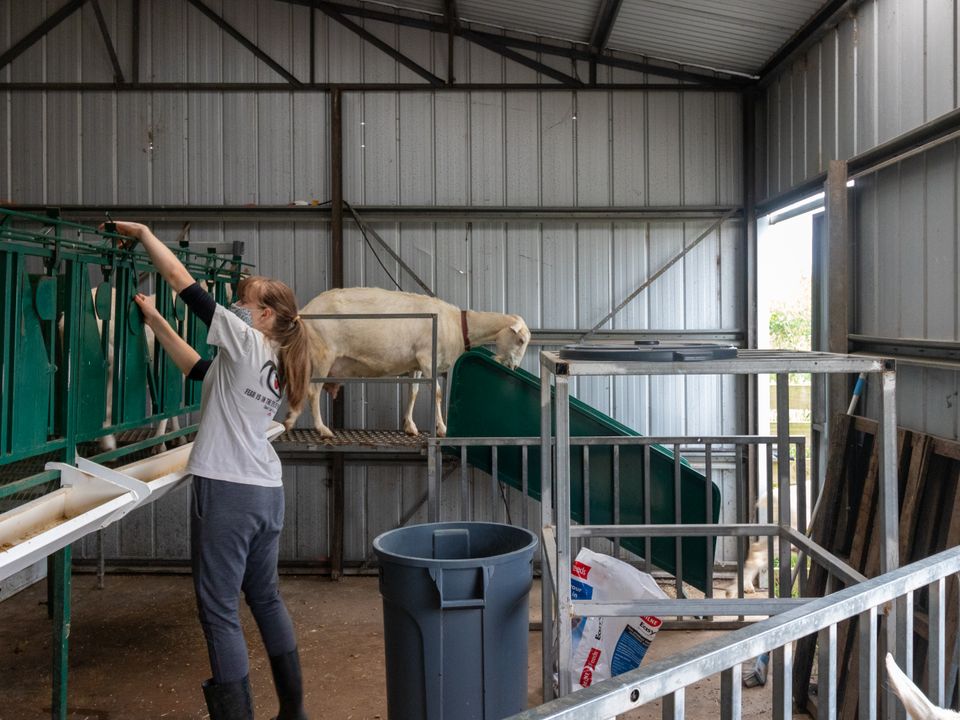 Story image 9