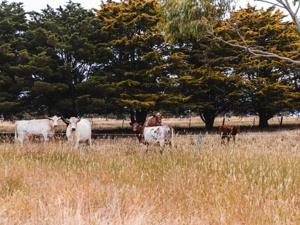 Story image 12