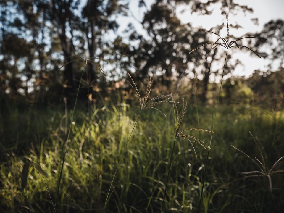 Story image 14