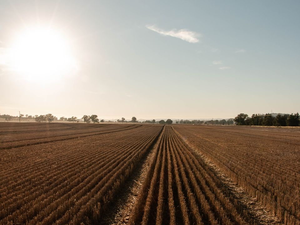 Story image 17