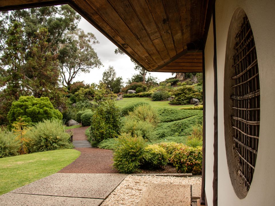Story image 14
