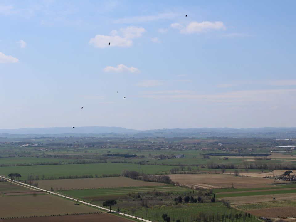 Story image 11