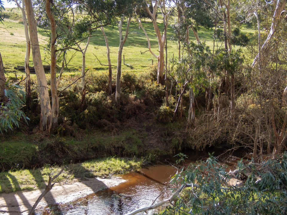 Story image 6