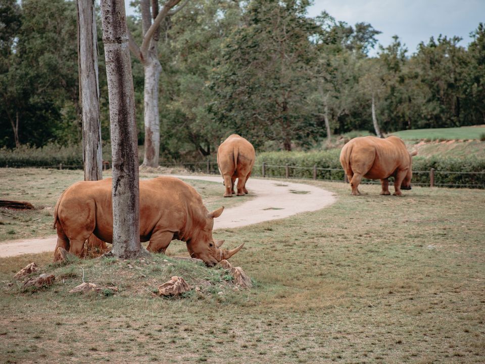Story image 12