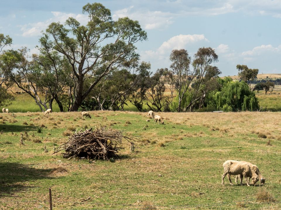 Story image 9