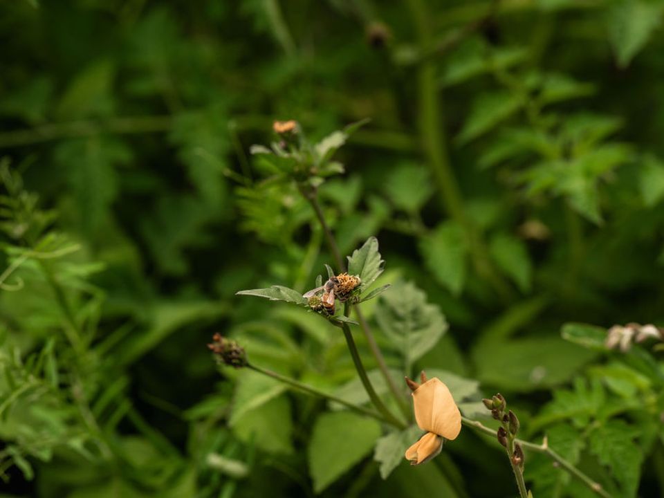 Story image 17