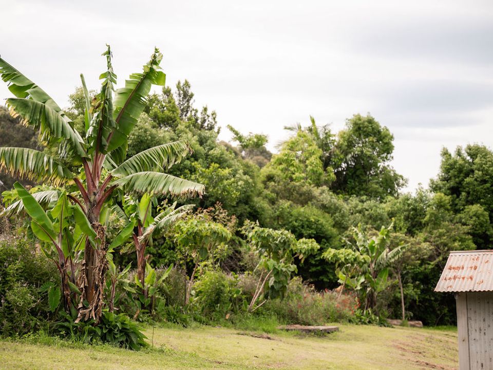 Story image 5