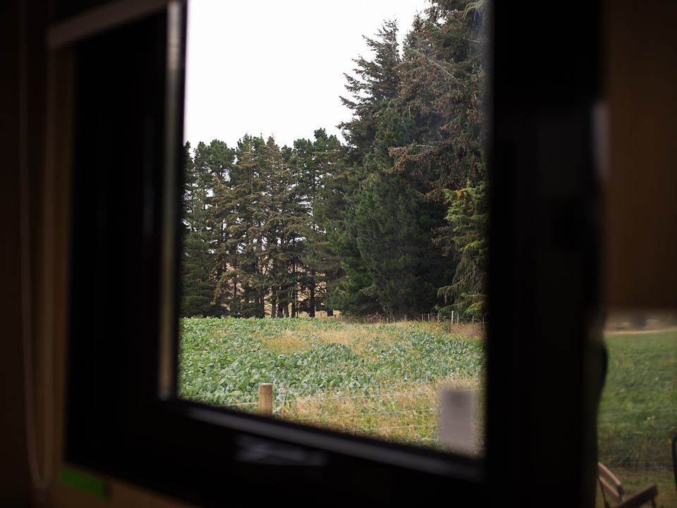 Story image 14