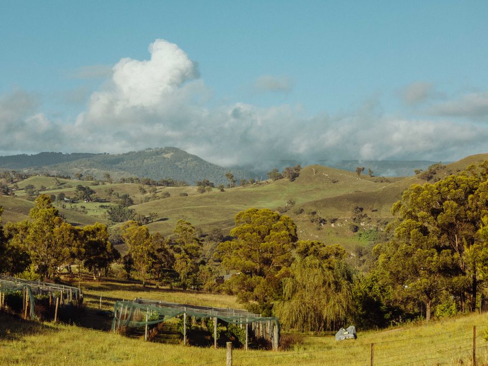 Story image 2