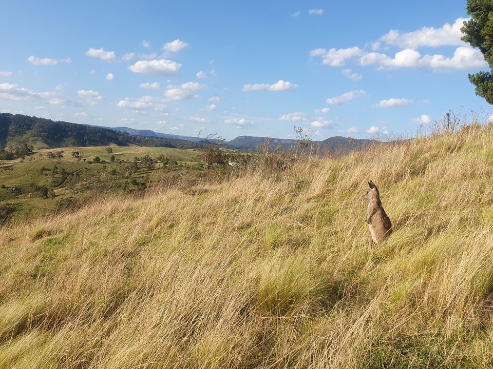 Story image 6